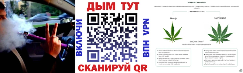 Бошки Шишки марихуана  Весьегонск 